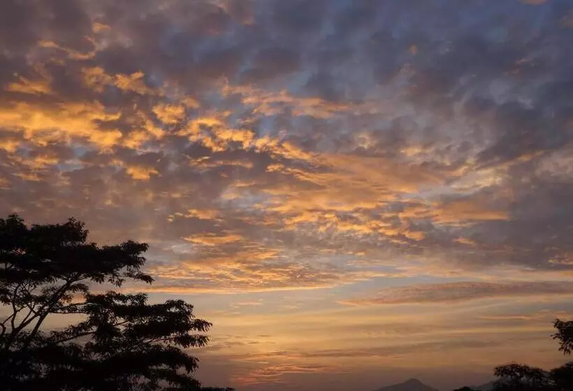 Majatalo Ashburnham Tea Estate