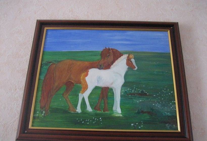 پانسیون Guesthouse Sólgarðar