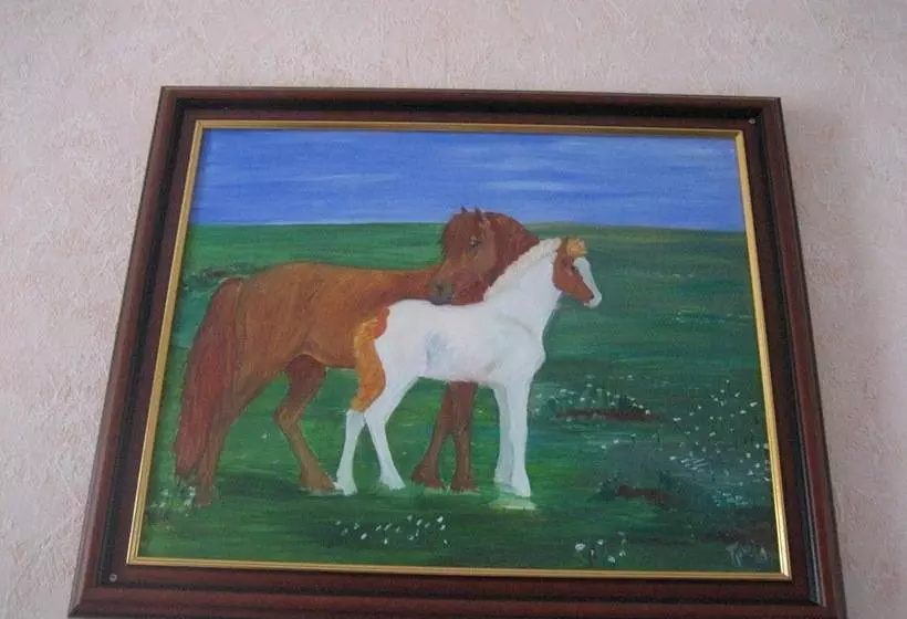 پانسیون Guesthouse Sólgarðar