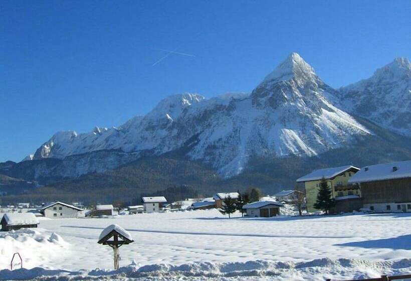 פנסיון Happy Camp Hofherr