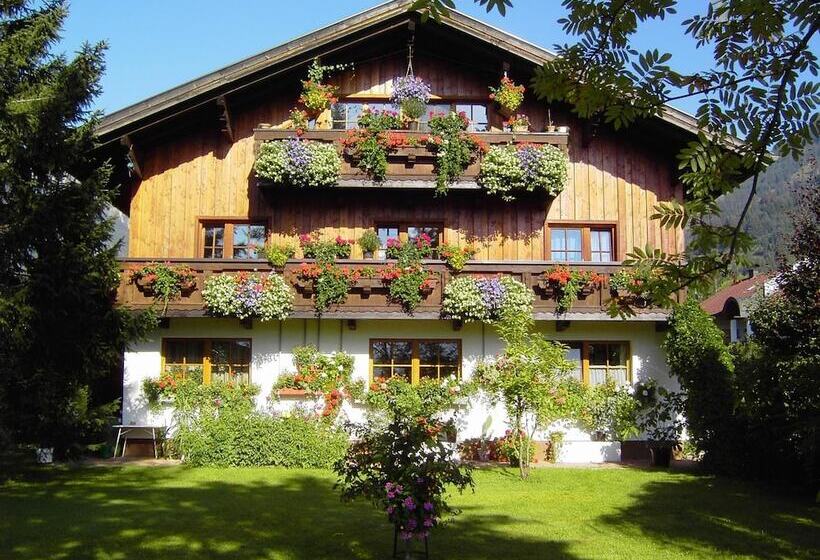 פנסיון Happy Camp Hofherr