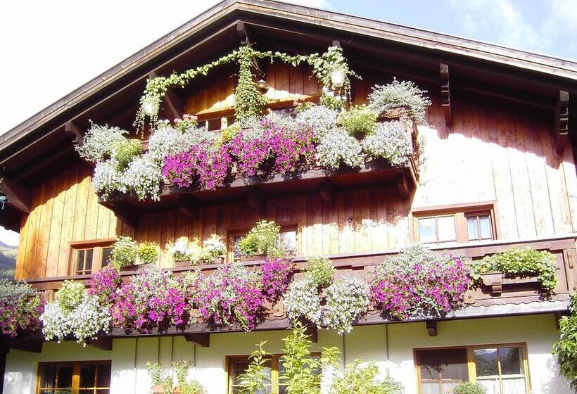 פנסיון Happy Camp Hofherr