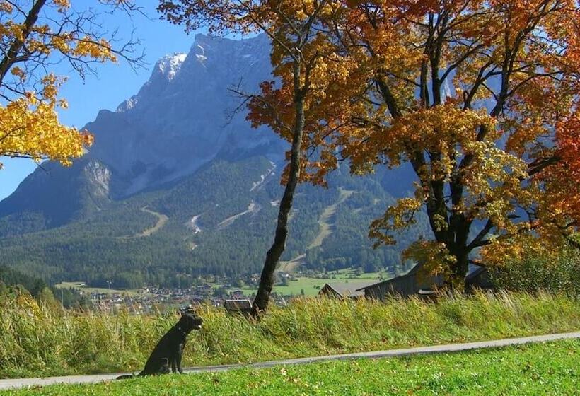 פנסיון Happy Camp Hofherr