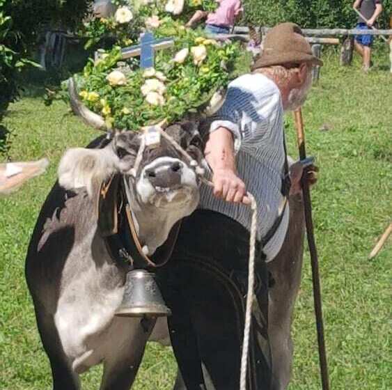 פנסיון Happy Camp Hofherr