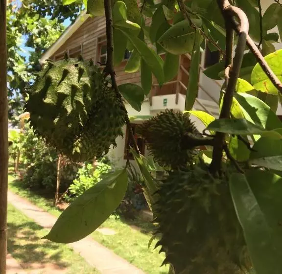 Majatalo Hostal Casaluna San Andres
