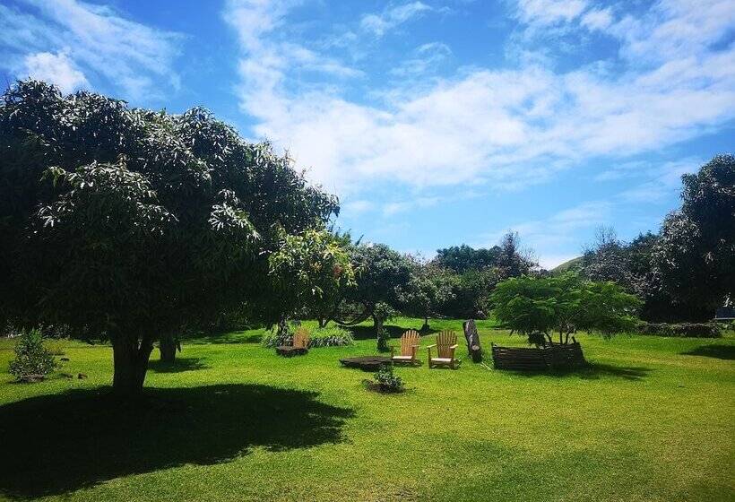 פנסיון Hostal Pukao