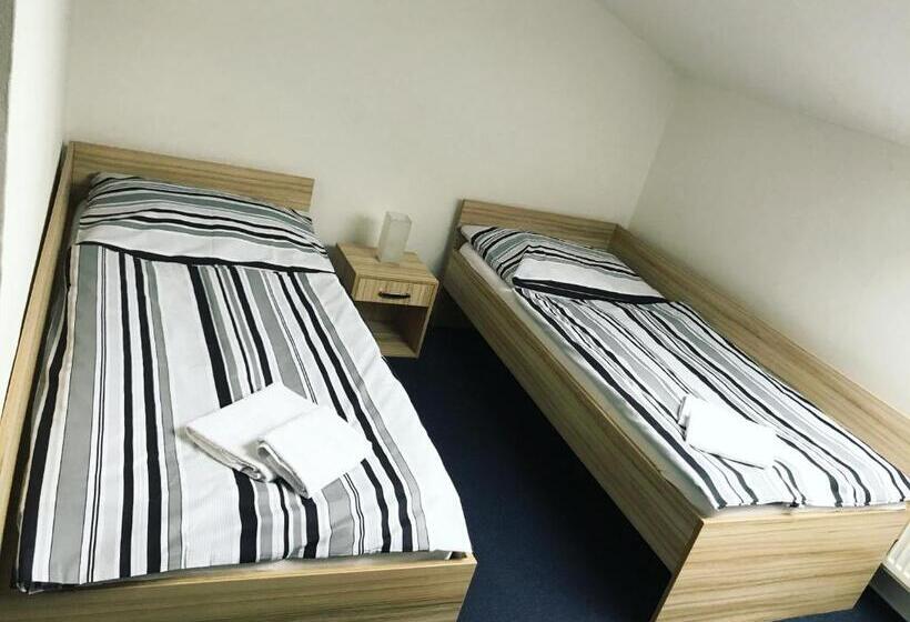 פנסיון Penzion Dmz