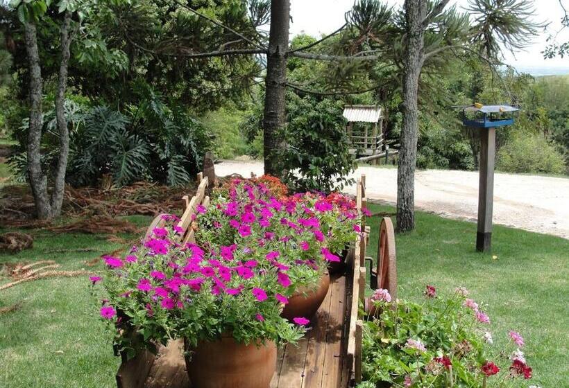 פנסיון Pousada Morro Verde