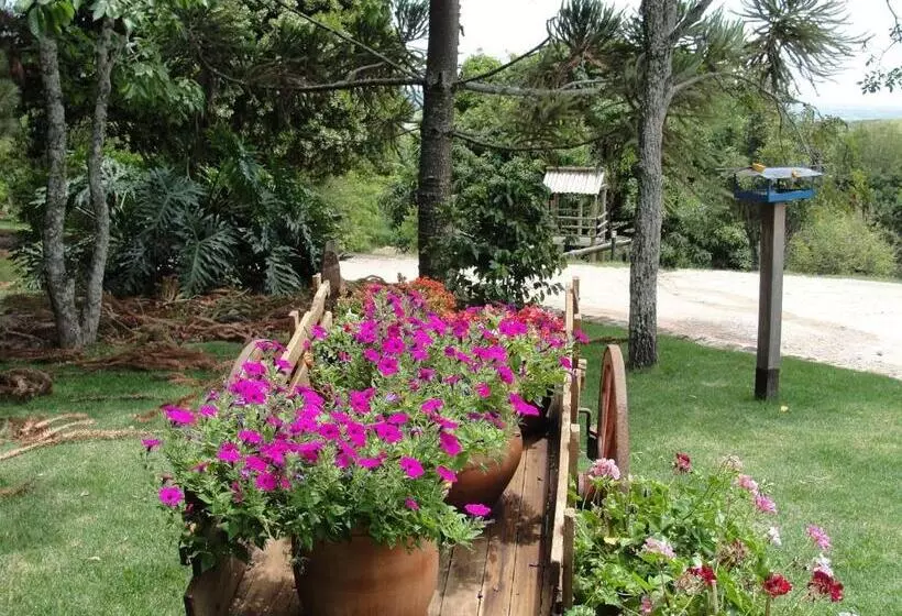 ペンション Pousada Morro Verde