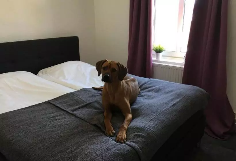 Stornäsets Pensionat Och Vandrarhem