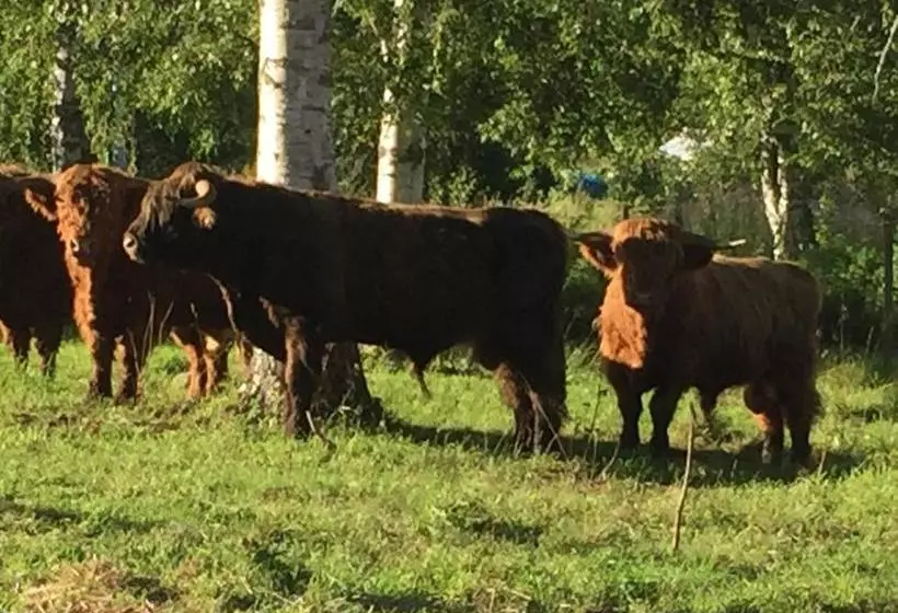 Stornäsets Pensionat Och Vandrarhem