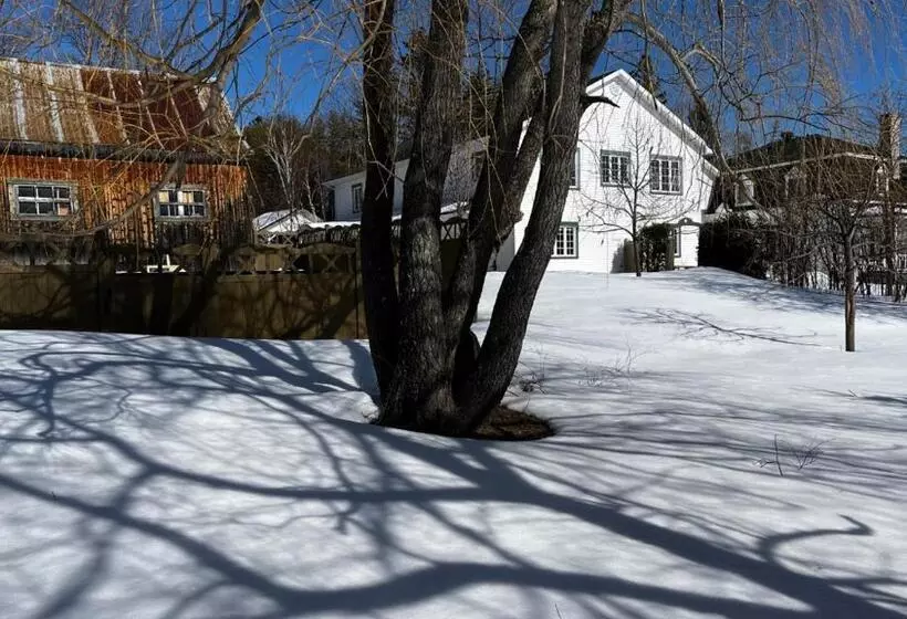 Auberge Musicale Pour Un Instant