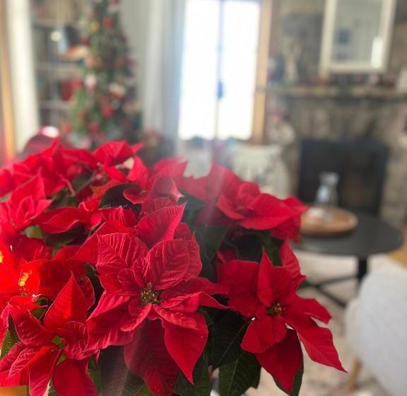 فندق صغير Auberge Musicale Pour Un Instant