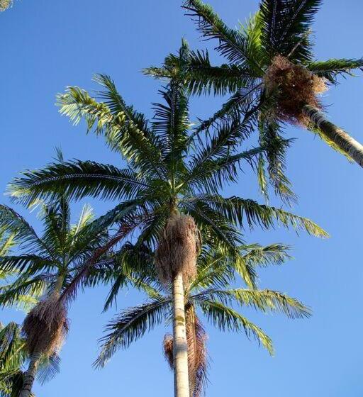 旅馆 Christie's Inn