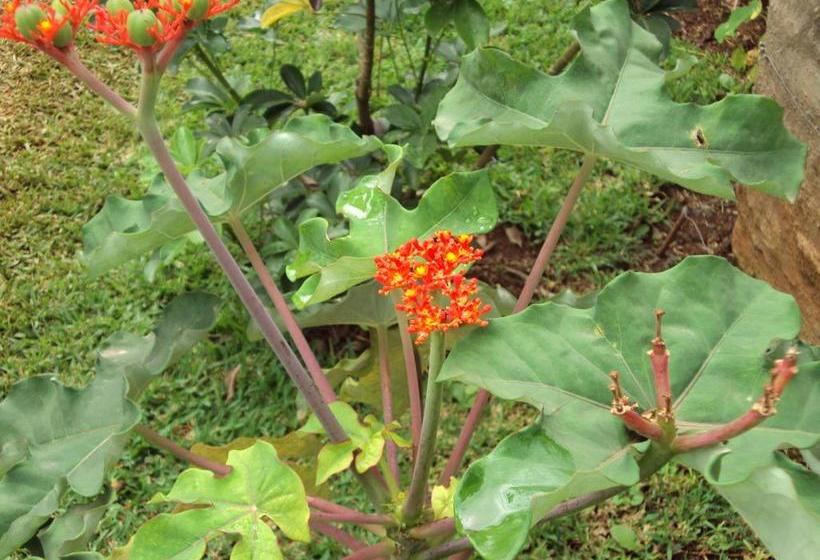 旅馆 Christie's Inn