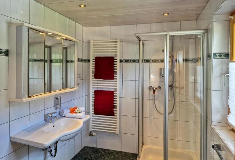 Alpenpension Gastein