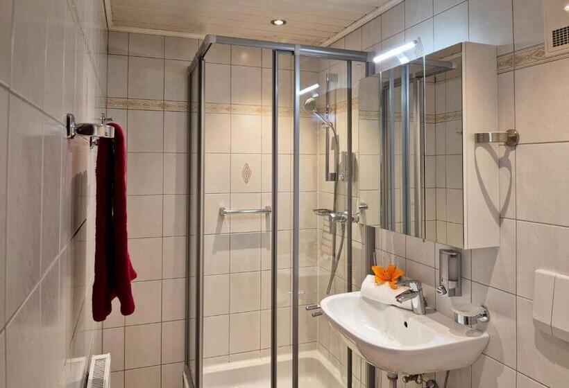 Alpenpension Gastein