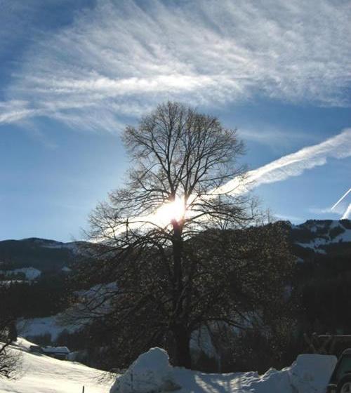 בית מלון כפרי Gumpoldbauer