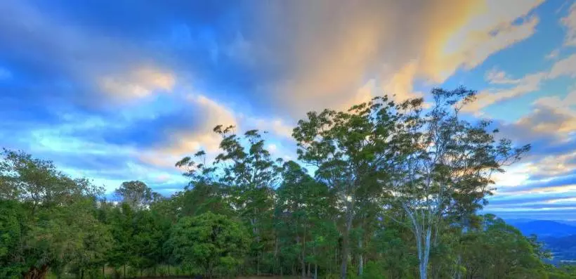 Mapleton Falls Accommodation