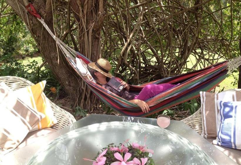 Mapleton Falls Accommodation