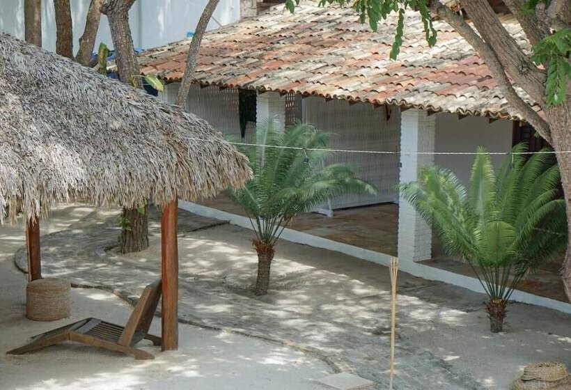 بنسيون Be Caju