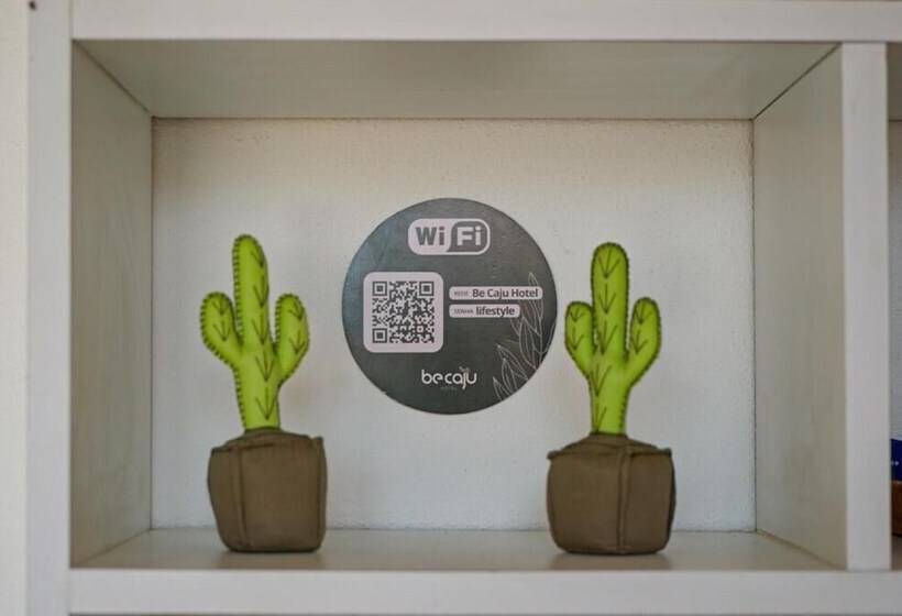 بنسيون Be Caju