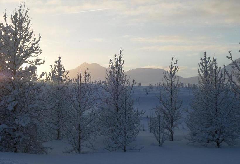 پانسیون Guesthouse Pétursborg