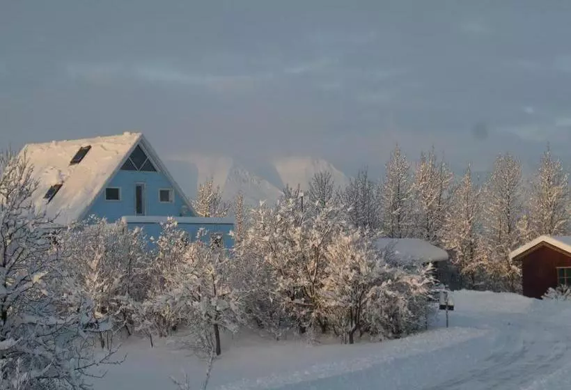 پانسیون Guesthouse Pétursborg
