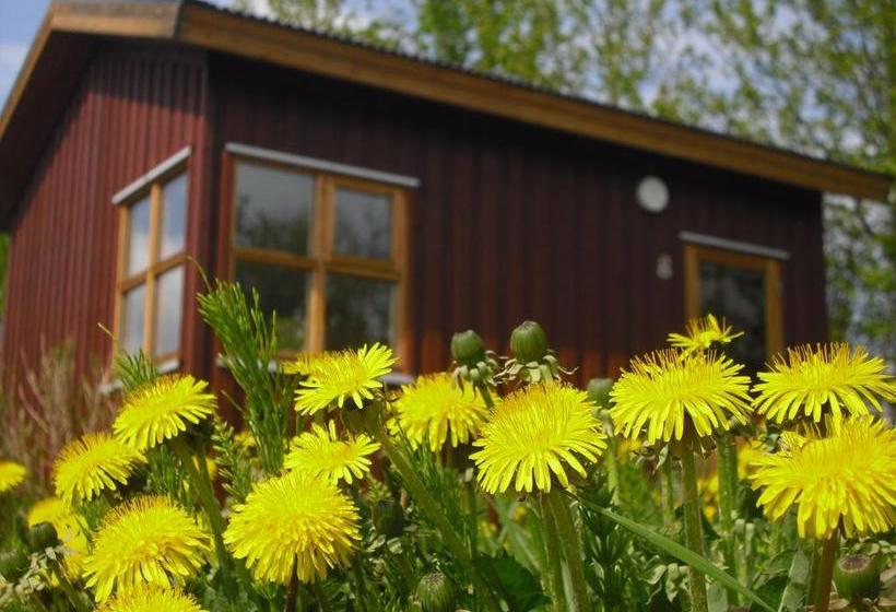 پانسیون Guesthouse Pétursborg