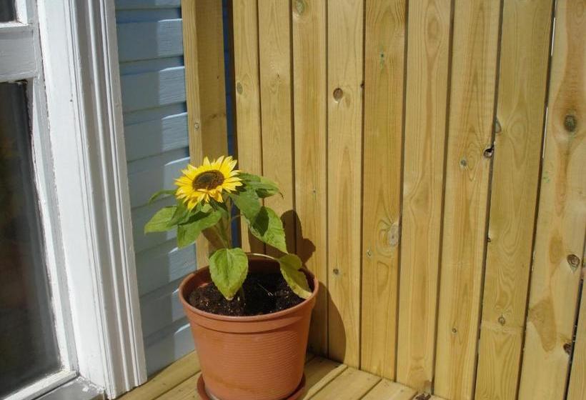 پانسیون Guesthouse Pétursborg