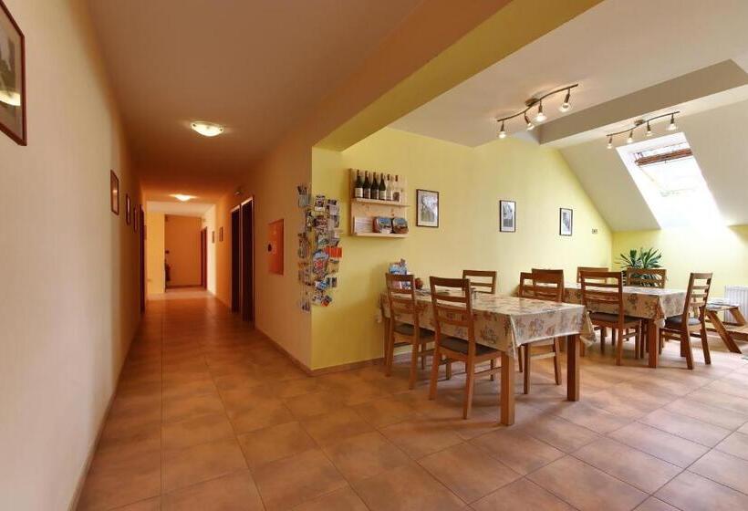 פנסיון Penzion U Zamku