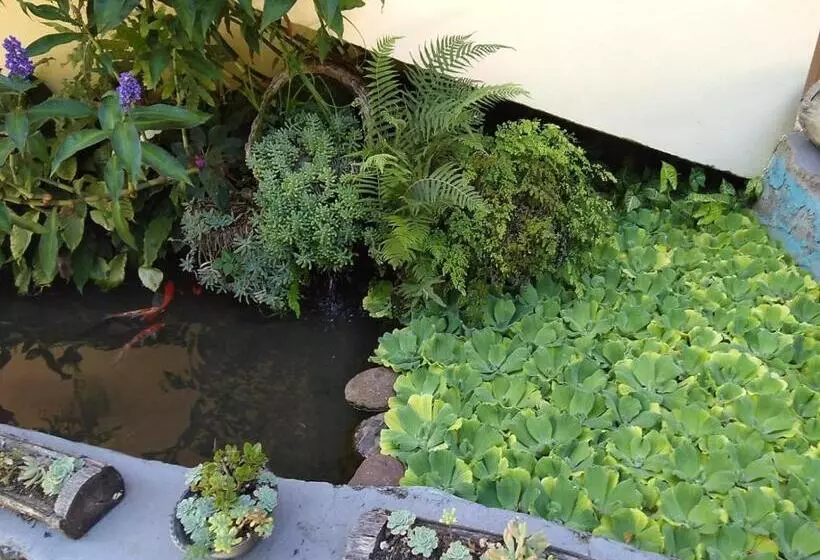 ペンション Pousada Verde Paraíso