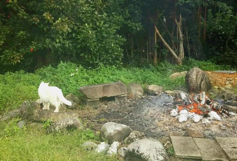 بنسيون Tomarigi