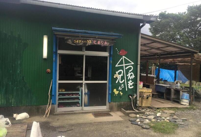 بنسيون Tomarigi