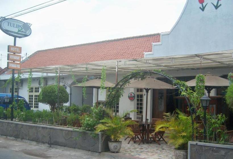 Пансион Tulips