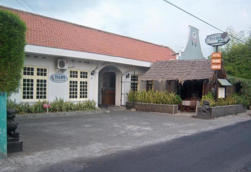 Пансион Tulips