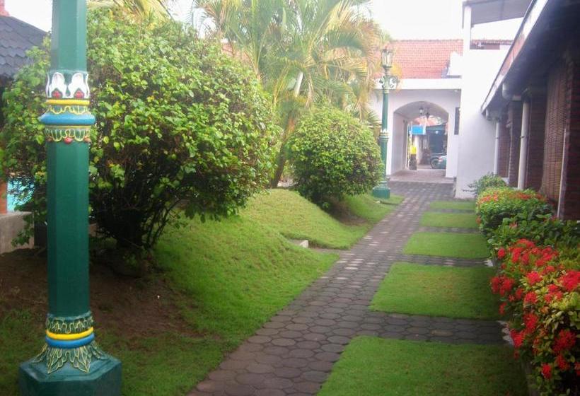 Пансион Tulips