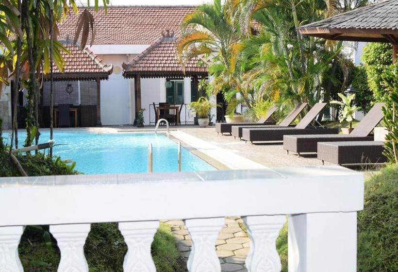 Пансион Tulips