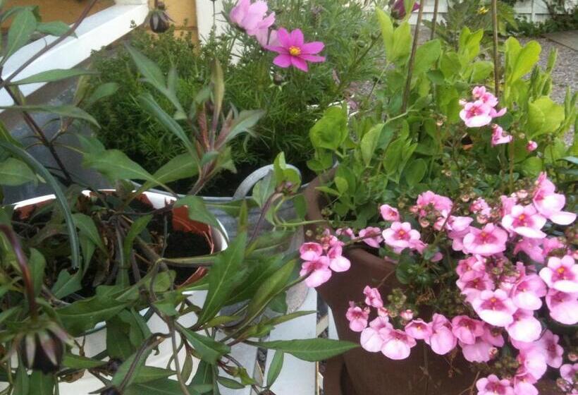 Pensionat Ankargården