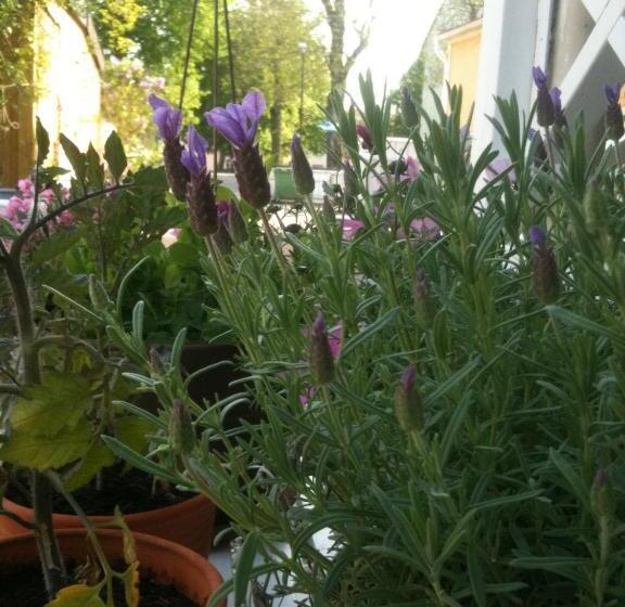 Pensionat Ankargården