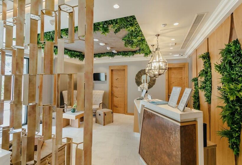 Boutique Hotel Casa Del Mare   Vizura