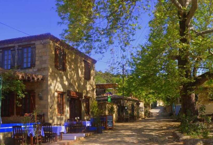 Pensione Zeushan Kucuk Otel