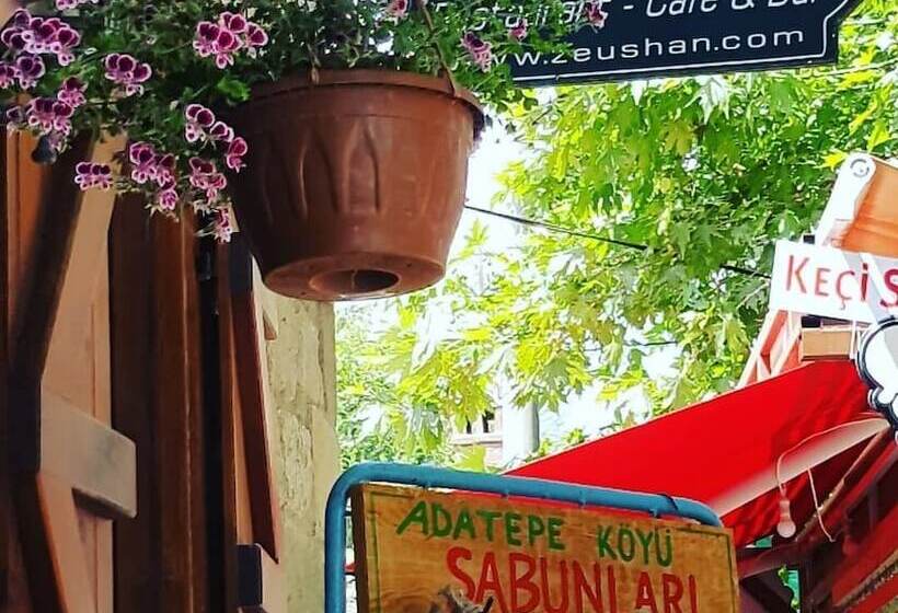 Pensione Zeushan Kucuk Otel