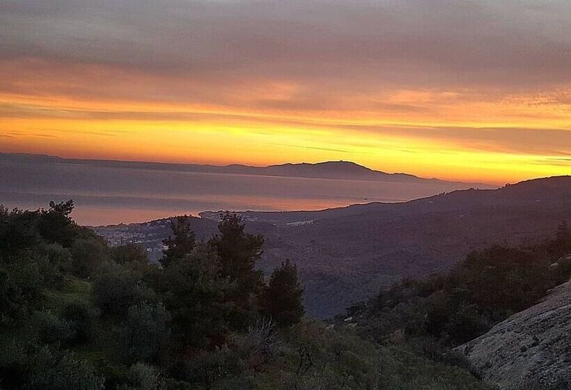 Pensione Zeushan Kucuk Otel