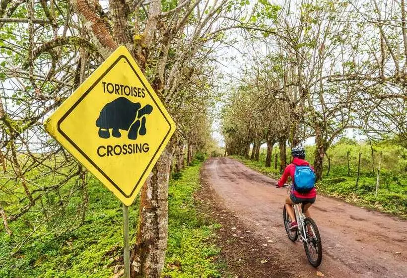 Royal Palm Galapagos, Curio Collection Hotel By Hilton