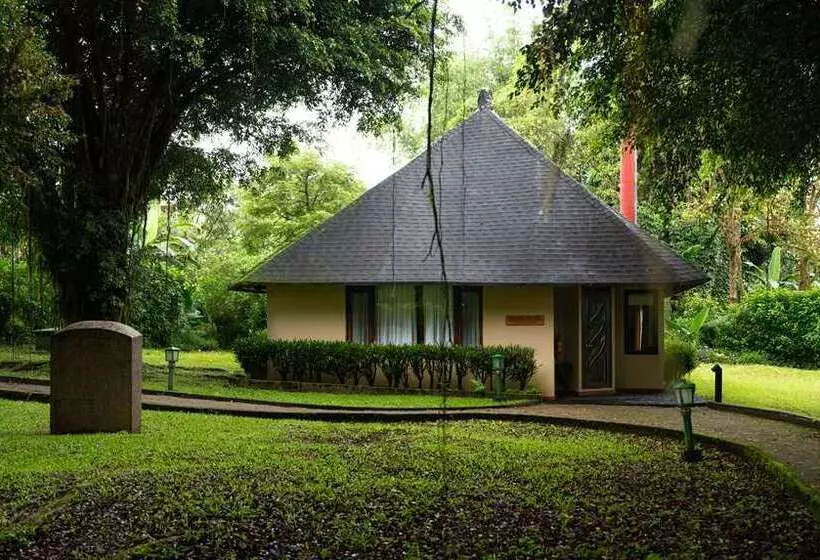 Royal Palm Galapagos, Curio Collection Hotel By Hilton