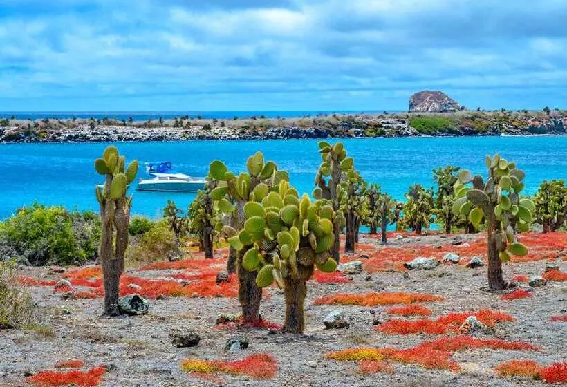 Royal Palm Galapagos, Curio Collection Hotel By Hilton