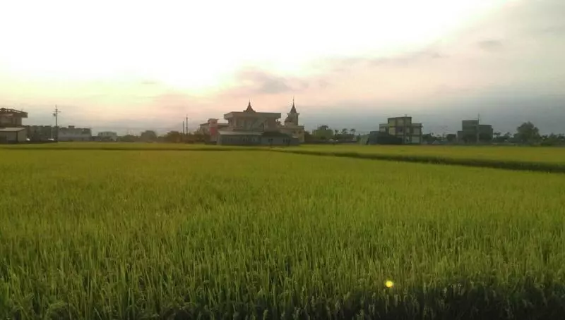 تختخواب و صبحانه Classic Home