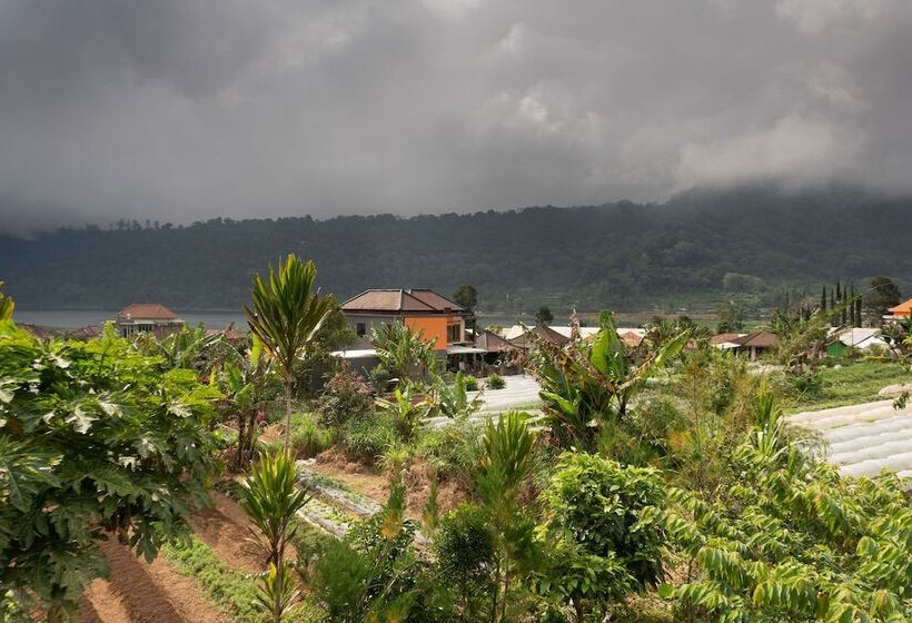 여관 Dajan Buyan Homestay