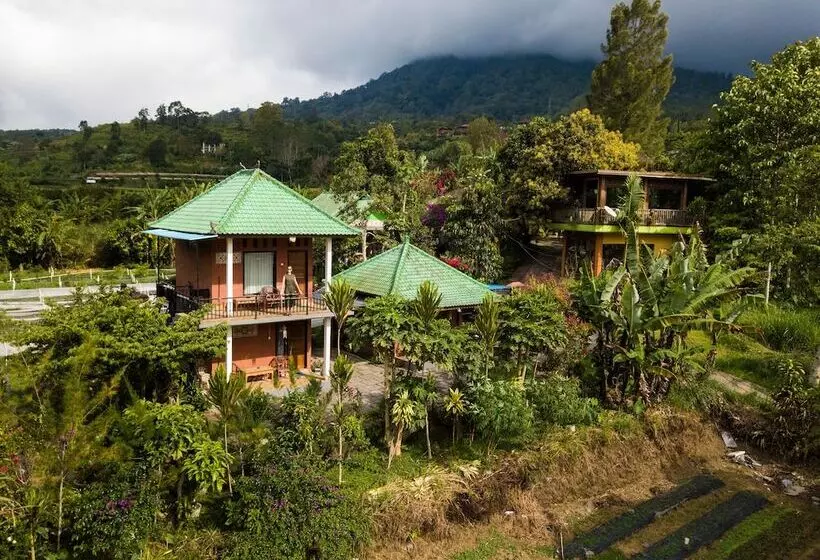 簡易ホテル Dajan Buyan Homestay